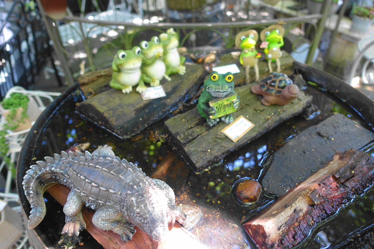 f:id:hacklecootie:20200216110854j:plain