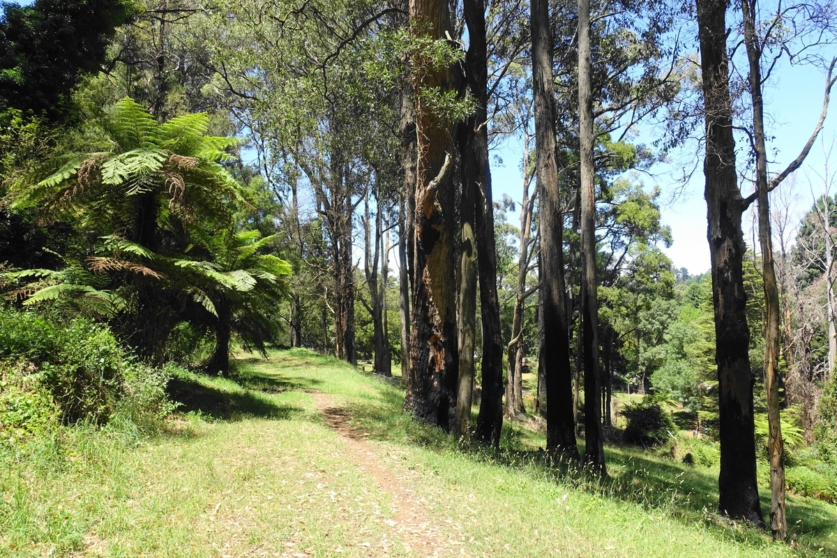 f:id:hacklecootie:20200216113223j:plain