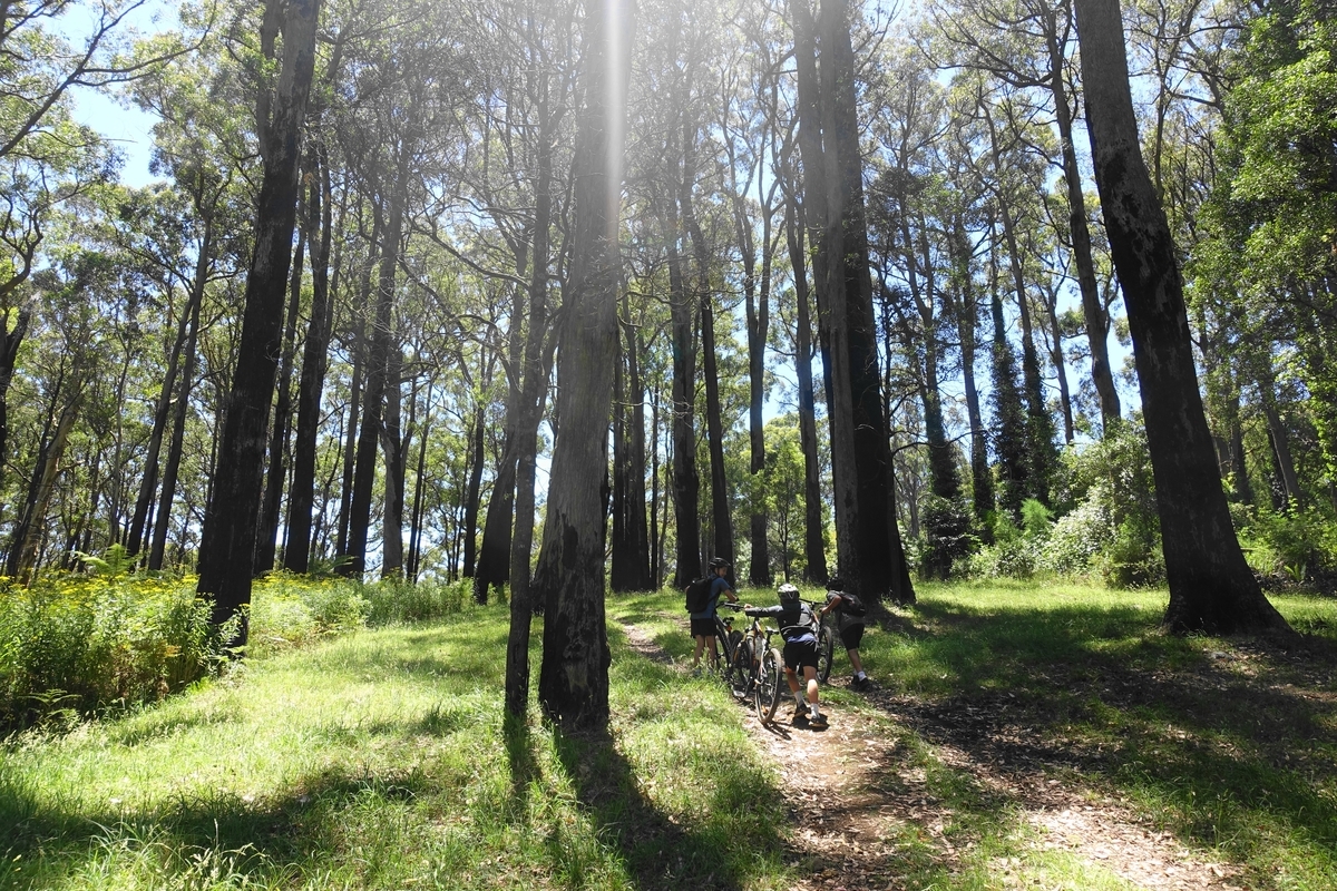 f:id:hacklecootie:20200216113259j:plain