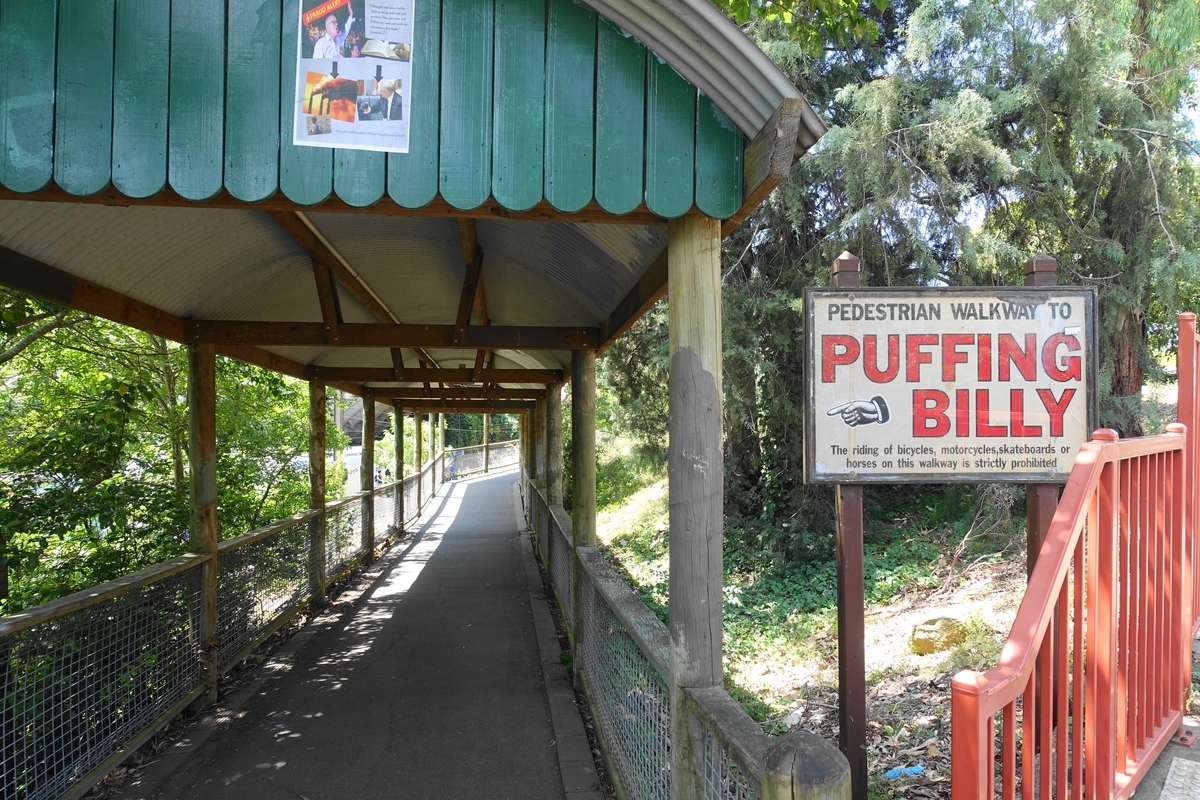 f:id:hacklecootie:20200216113942j:plain