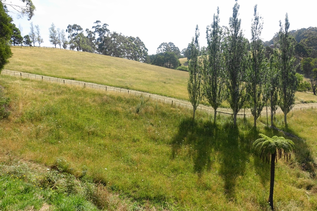 f:id:hacklecootie:20200220114829j:plain