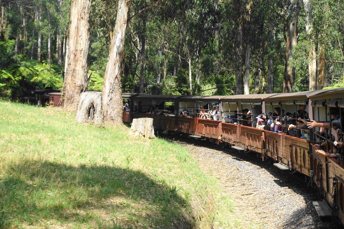 f:id:hacklecootie:20200220114834j:plain