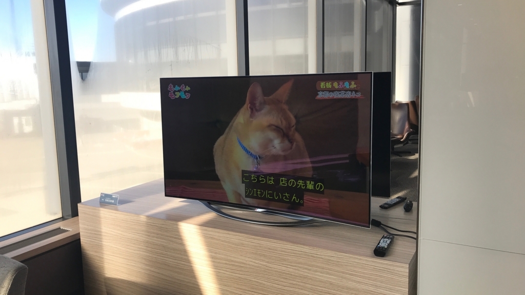 f:id:hackstudent:20180105111753j:plain f:id:hackstudent:20180105111753j:plain