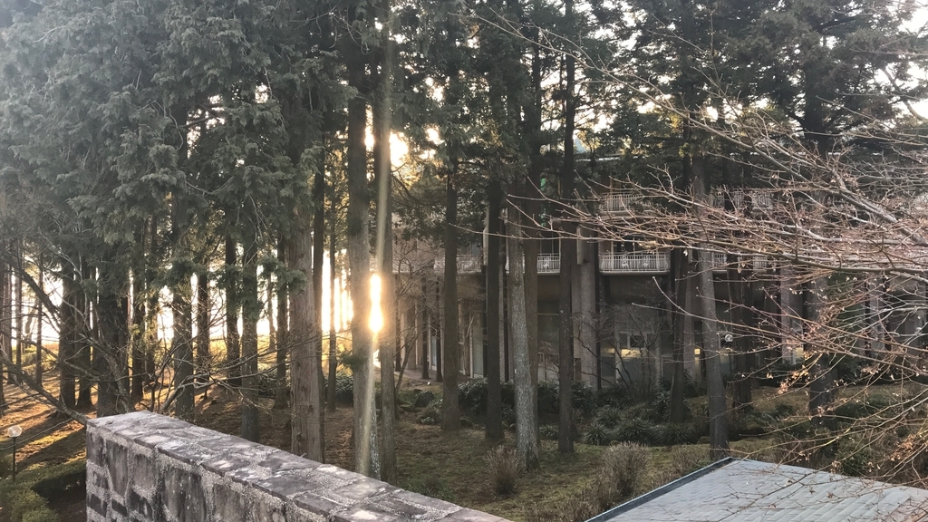 f:id:hackstudent:20190303205649j:plain f:id:hackstudent:20190303205649j:plain