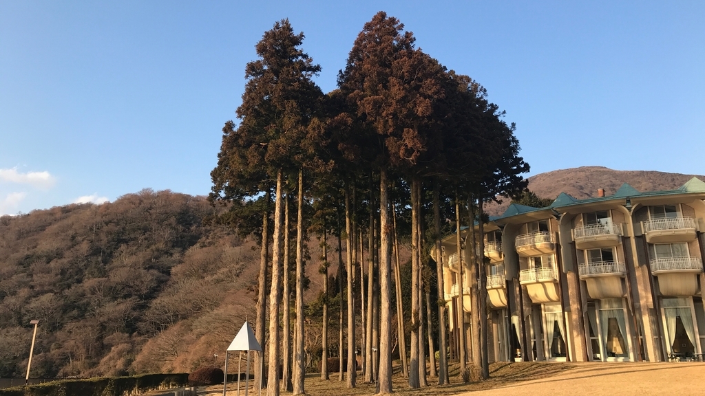 f:id:hackstudent:20190303205848j:plain f:id:hackstudent:20190303205848j:plain