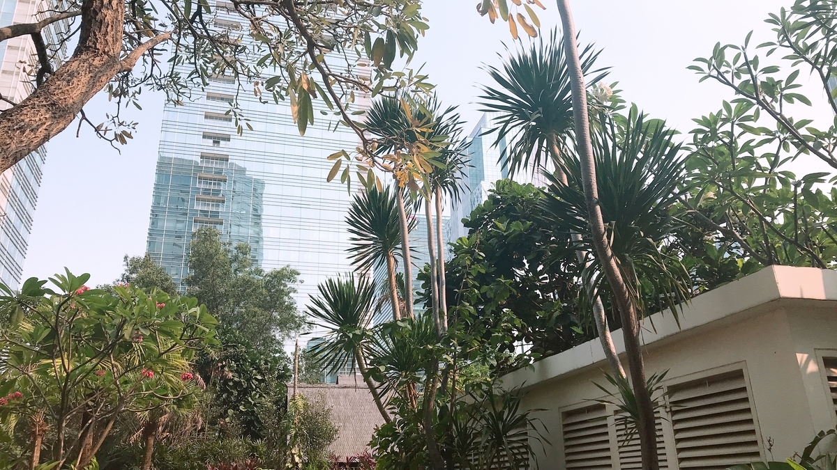 f:id:hackstudent:20191123145638j:plain f:id:hackstudent:20191123145638j:plain