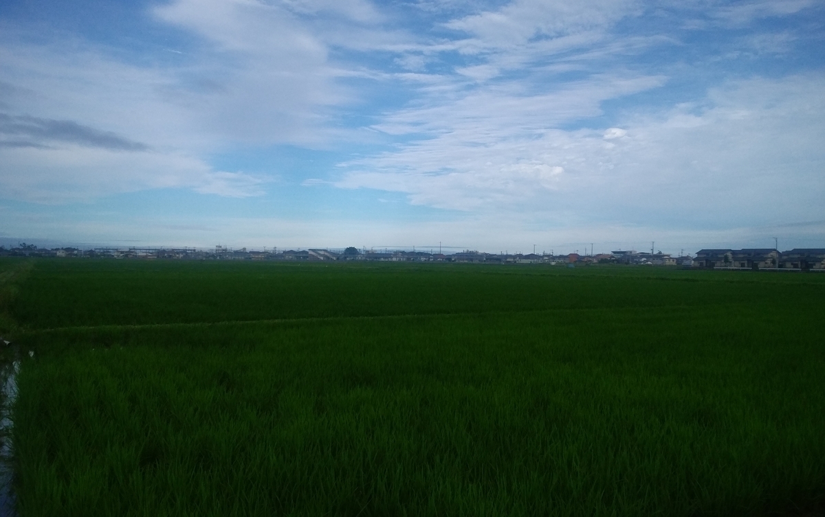 f:id:hackve:20190822194816j:plain f:id:hackve:20190822194816j:plain