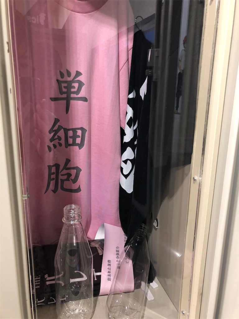 f:id:haco719:20190104201838j:image