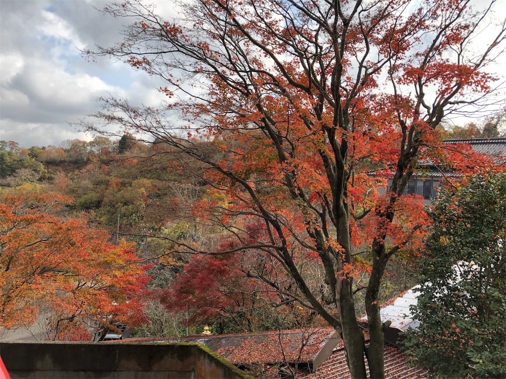 f:id:hacohaco1103:20181120221139j:image