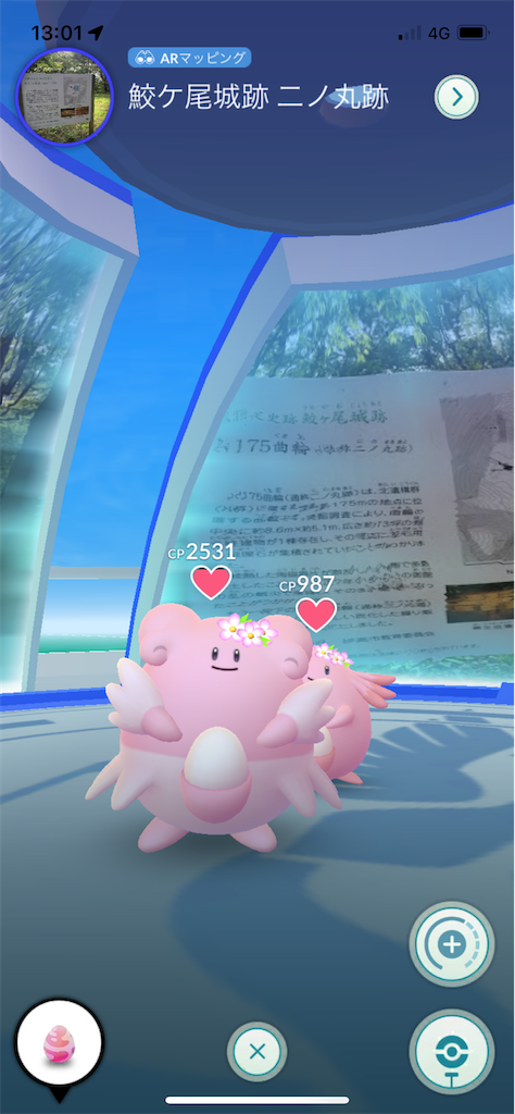 f:id:hacohaco1103:20230618192419p:image