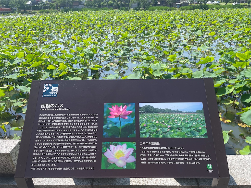 f:id:hacohaco1103:20230618192911j:image