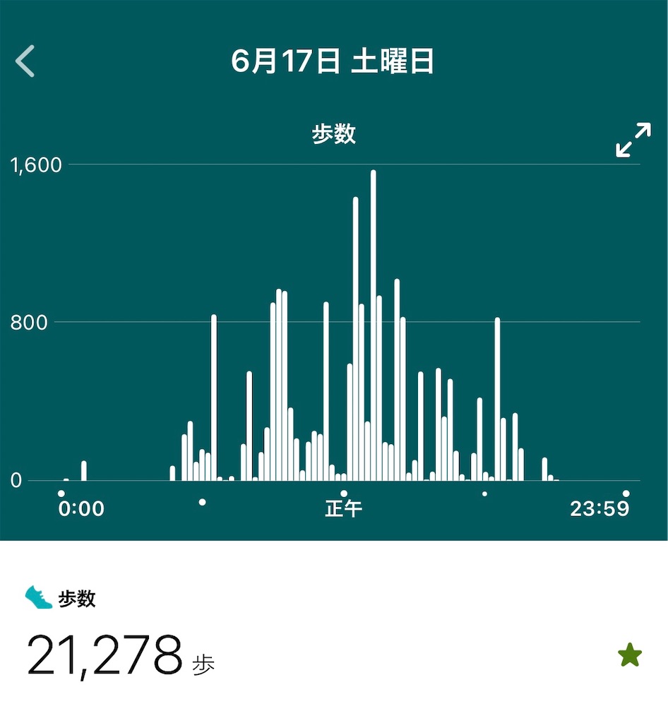 f:id:hacohaco1103:20230618193112j:image