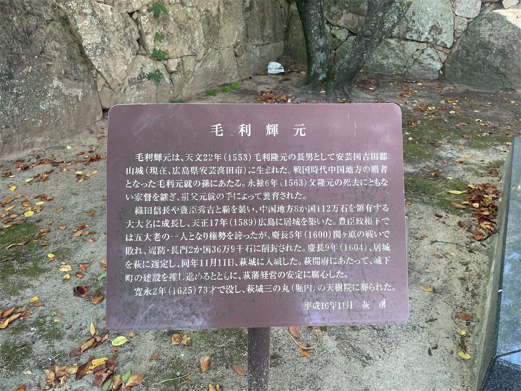 f:id:hacohaco1103:20240817084352j:image