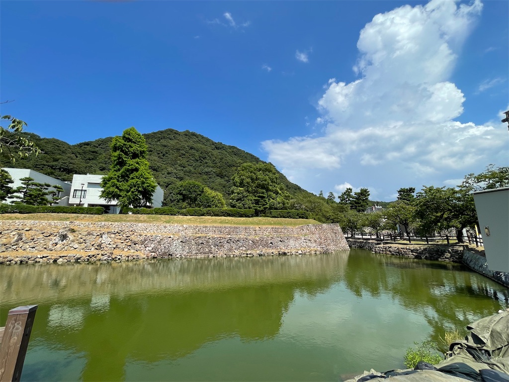 f:id:hacohaco1103:20240817162433j:image