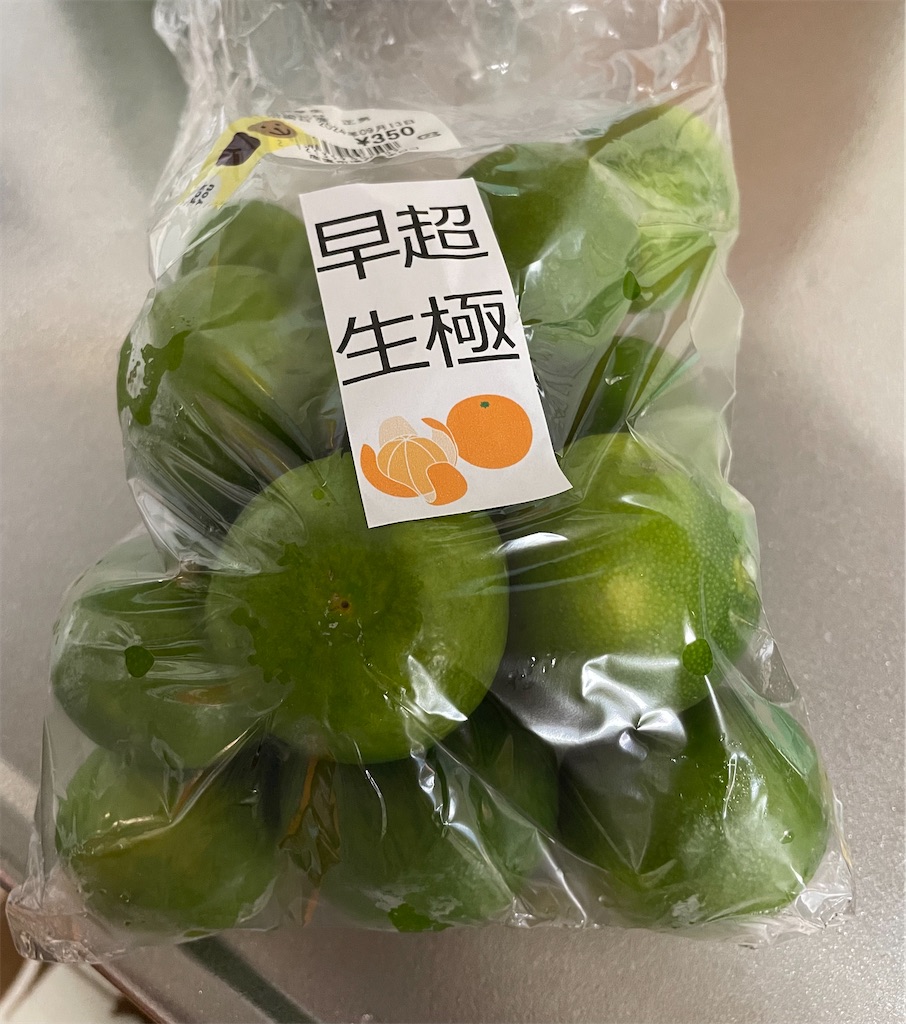f:id:hacohaco1103:20240922062431j:image
