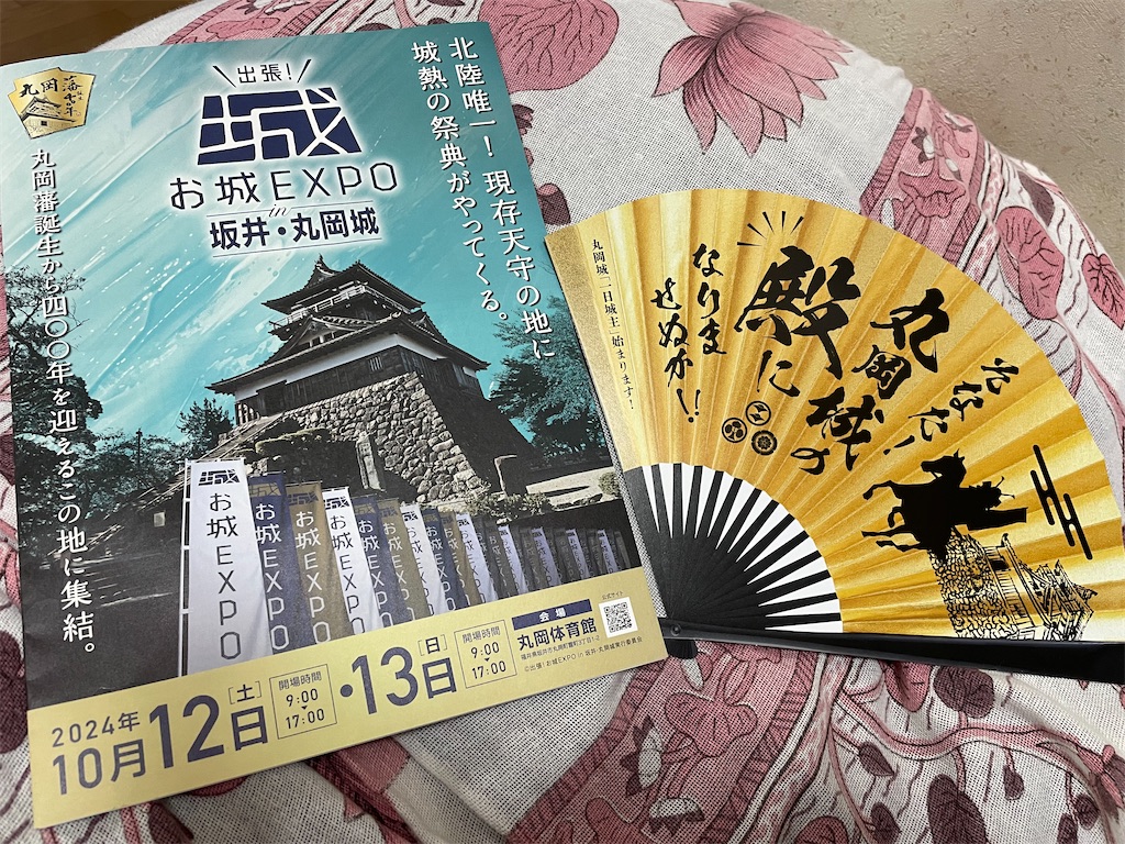 f:id:hacohaco1103:20241014213103j:image