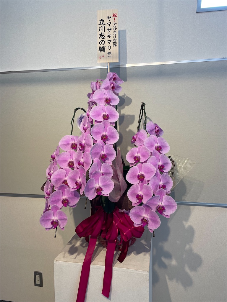f:id:hacohaco1103:20241019182914j:image