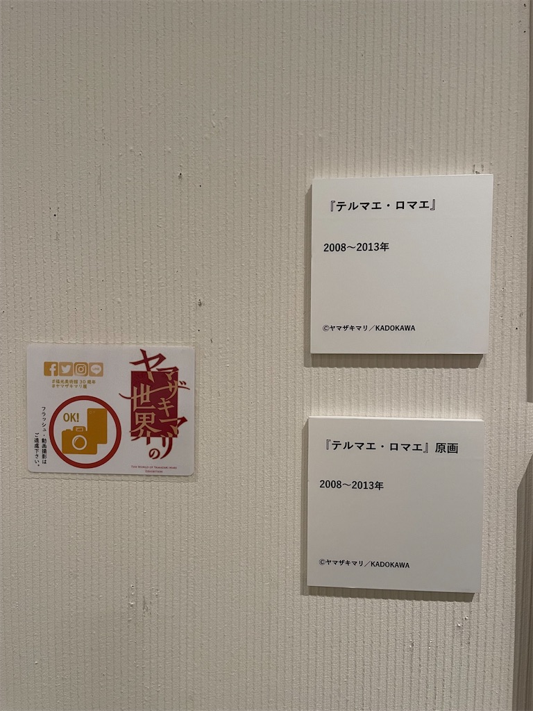 f:id:hacohaco1103:20241019183605j:image