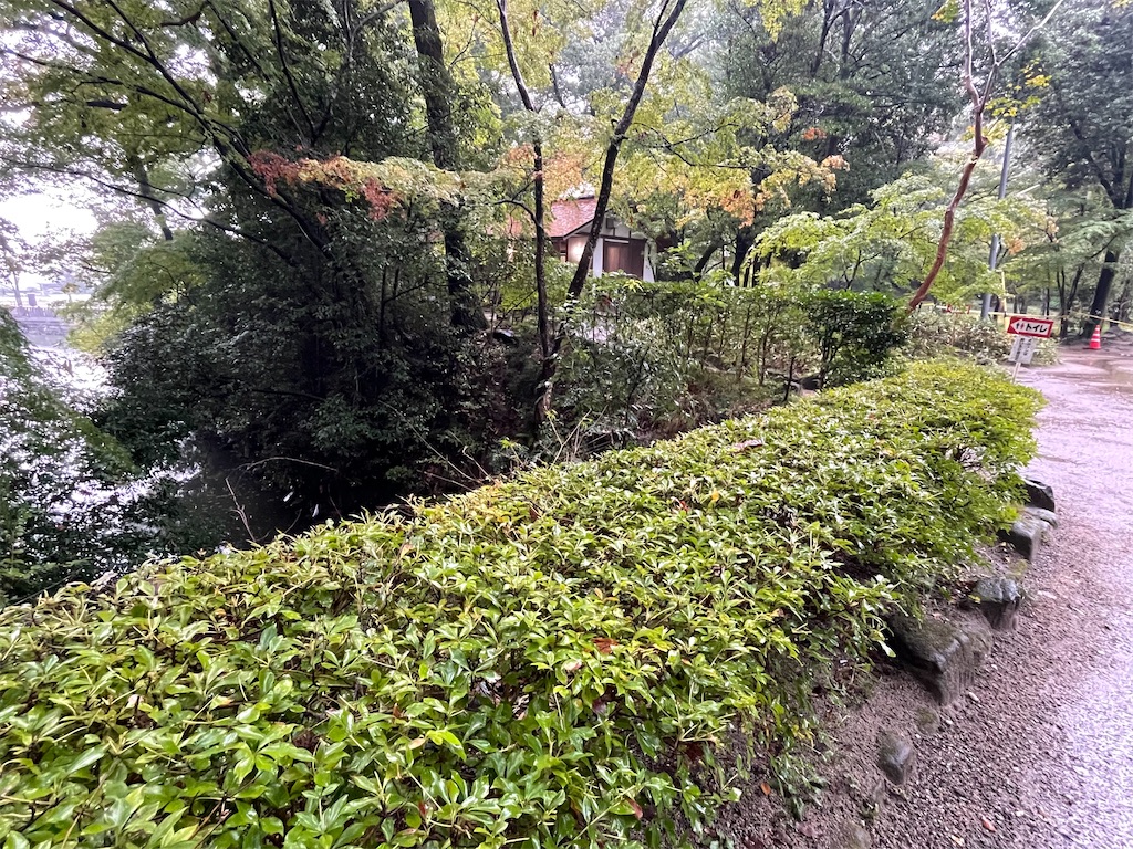 f:id:hacohaco1103:20241110162850j:image