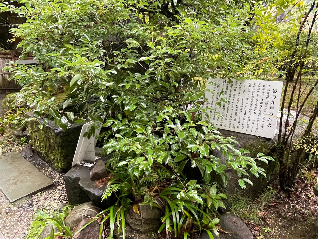 f:id:hacohaco1103:20241110162854j:image