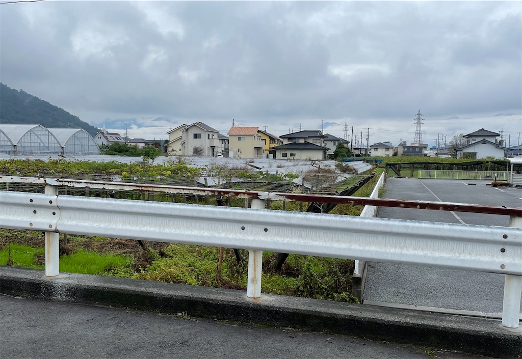 f:id:hacohaco1103:20241110164852j:image