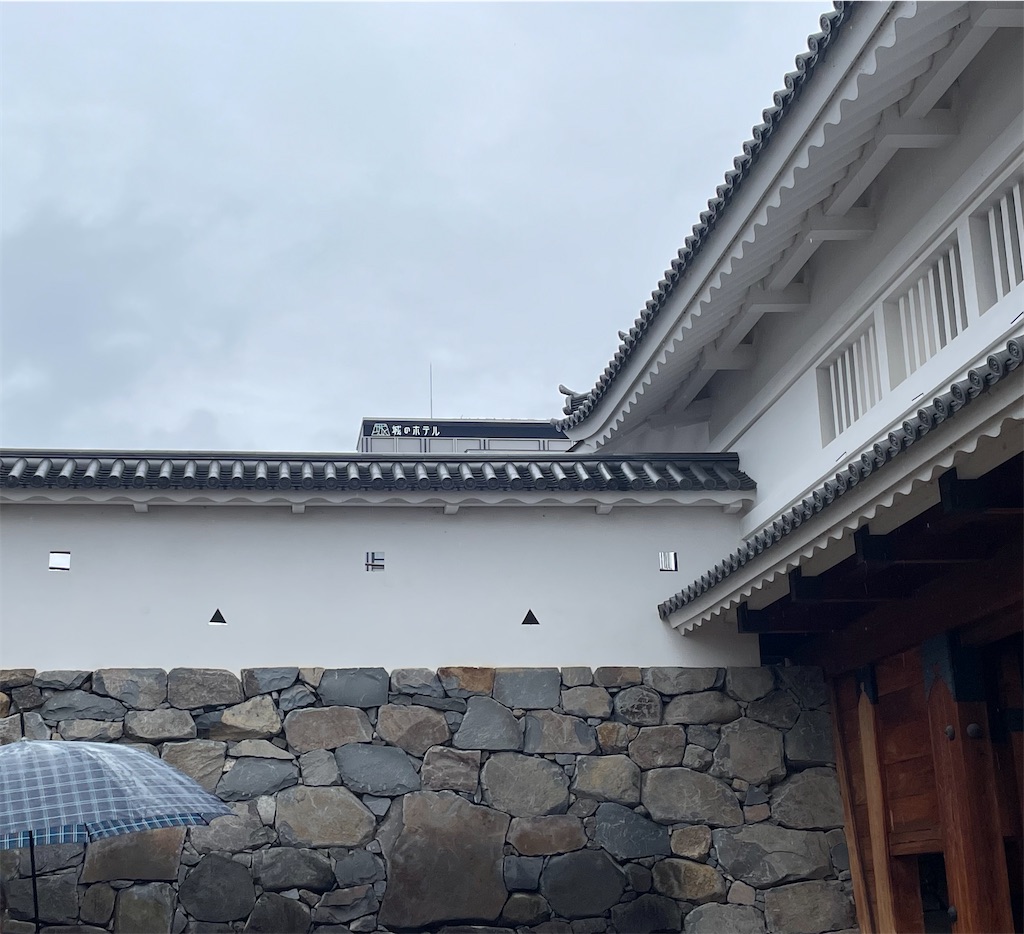 f:id:hacohaco1103:20241110171309j:image