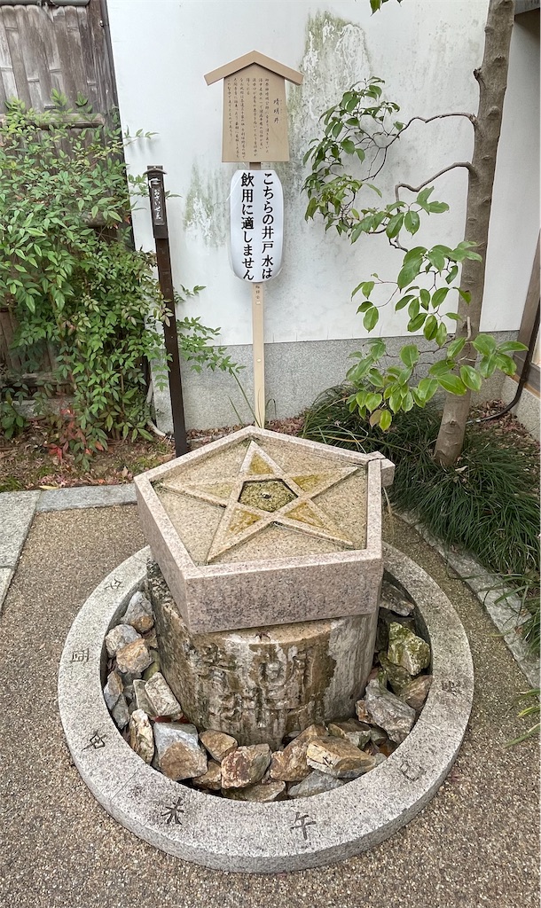 f:id:hacohaco1103:20250103223142j:image