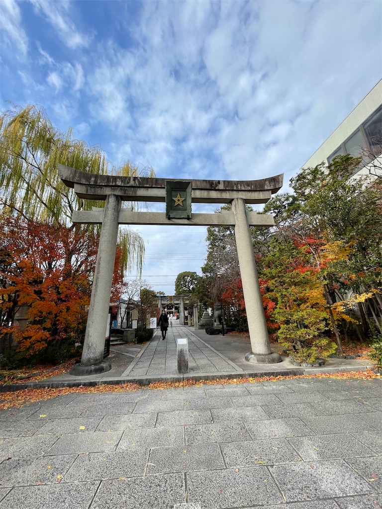 f:id:hacohaco1103:20250103223219j:image