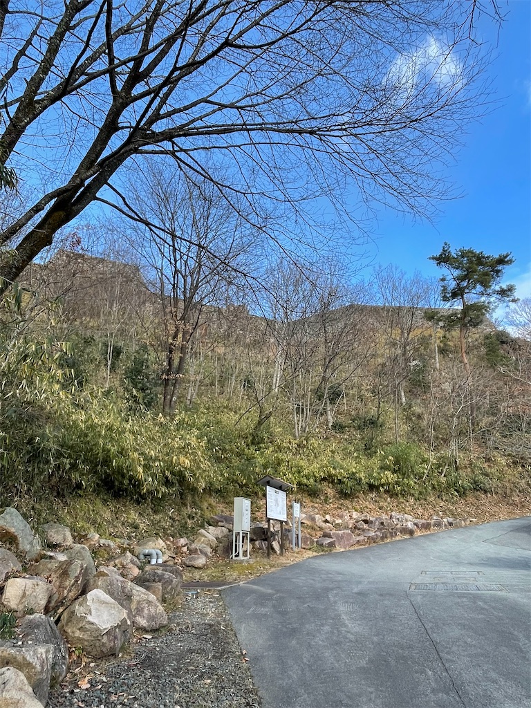 f:id:hacohaco1103:20250104085225j:image
