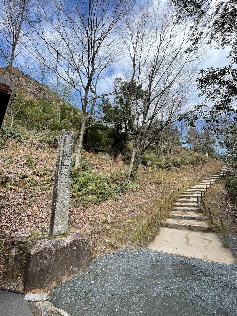 f:id:hacohaco1103:20250104085851j:image