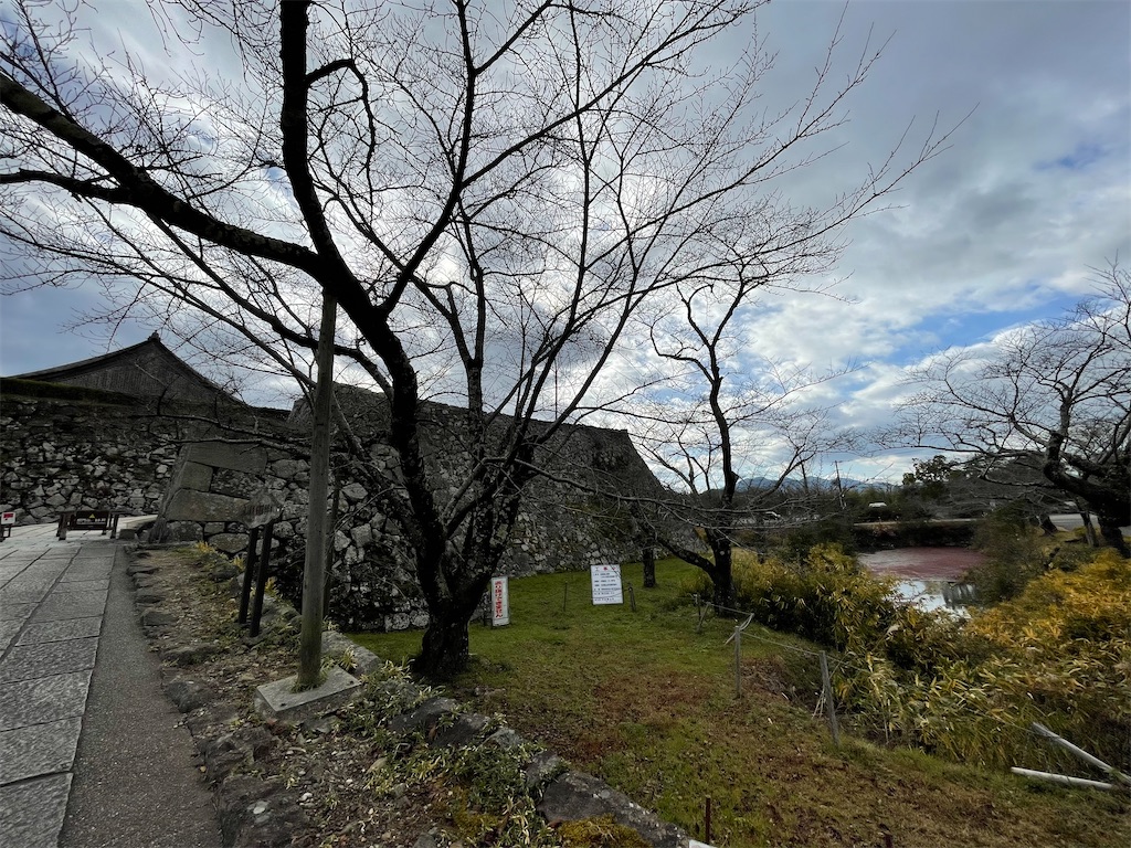 f:id:hacohaco1103:20250104193537j:image