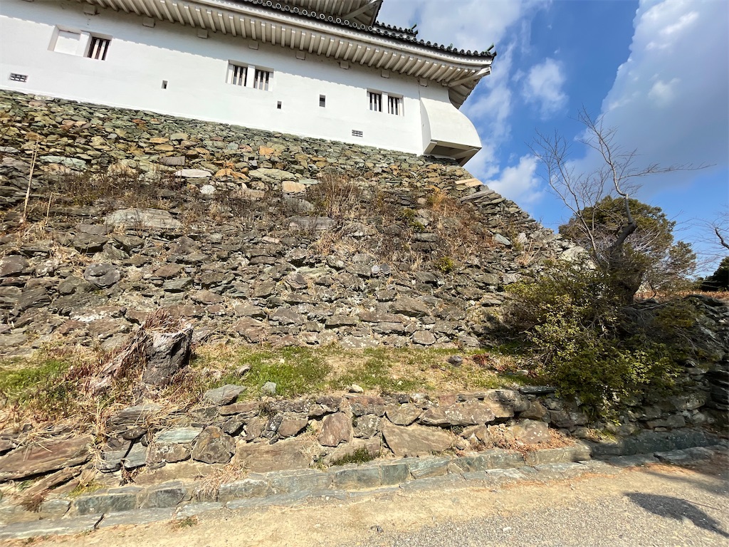 f:id:hacohaco1103:20250224163935j:image