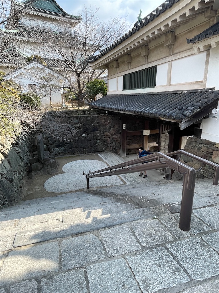 f:id:hacohaco1103:20250224163945j:image
