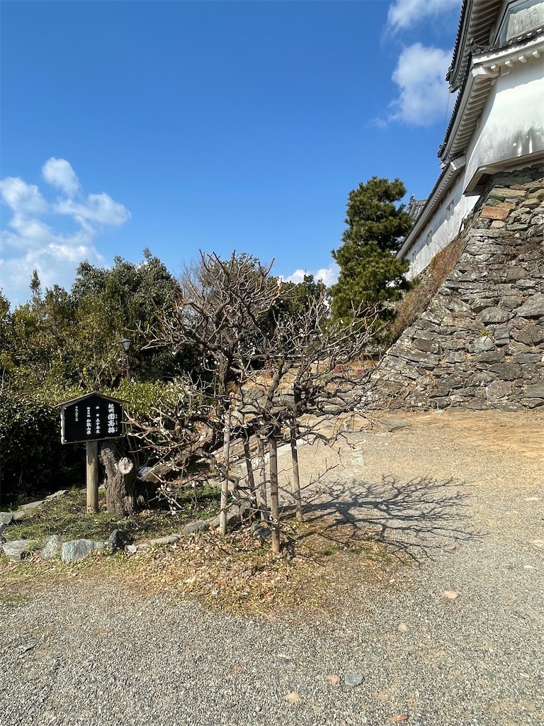 f:id:hacohaco1103:20250224163949j:image