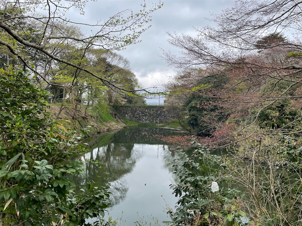 f:id:hacohaco1103:20250415180234j:image