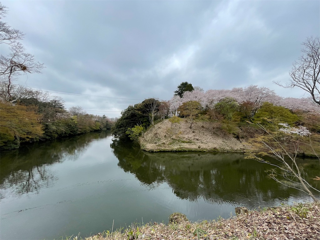 f:id:hacohaco1103:20250415180238j:image