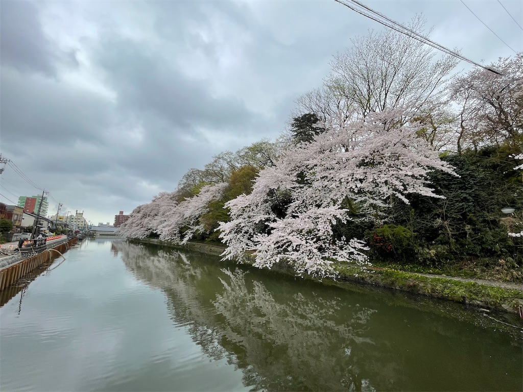 f:id:hacohaco1103:20250415180426j:image
