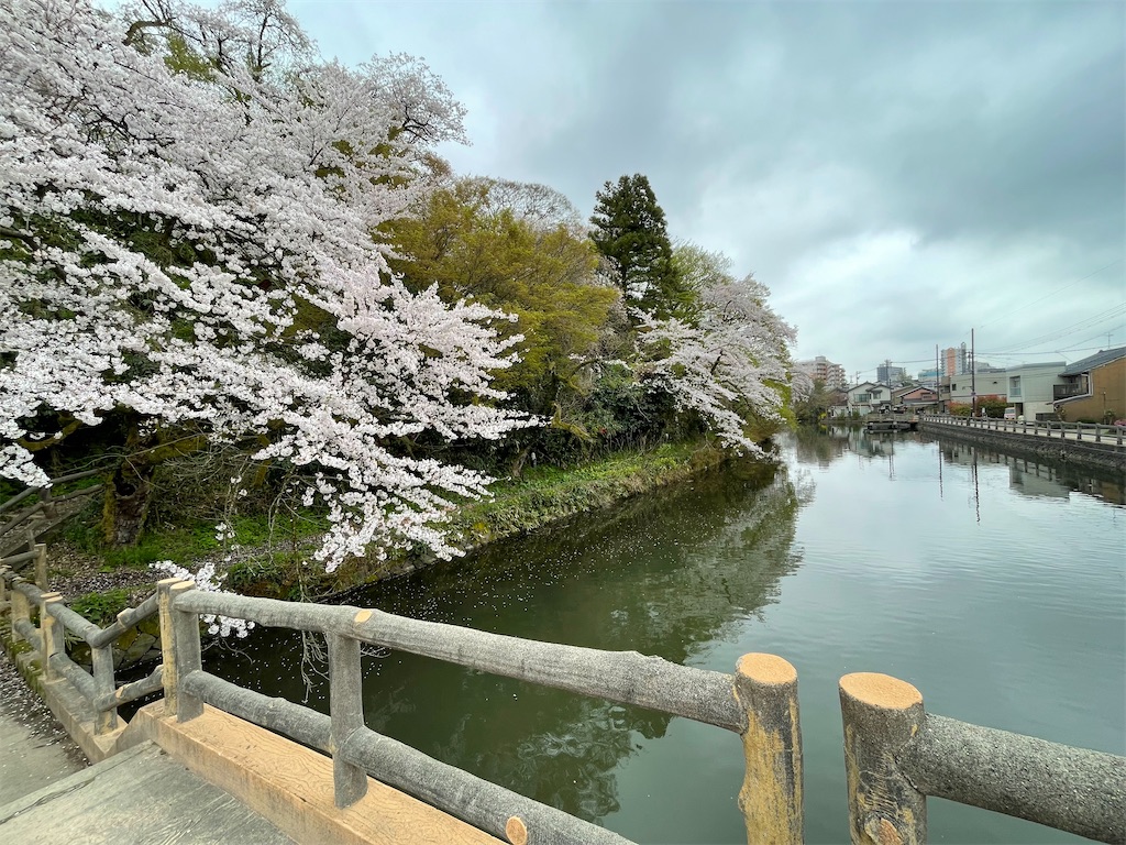 f:id:hacohaco1103:20250415180443j:image