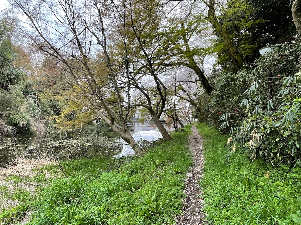 f:id:hacohaco1103:20250415180658j:image