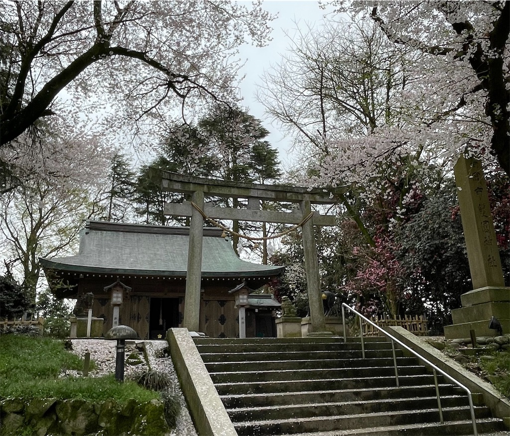 f:id:hacohaco1103:20250415181007j:image
