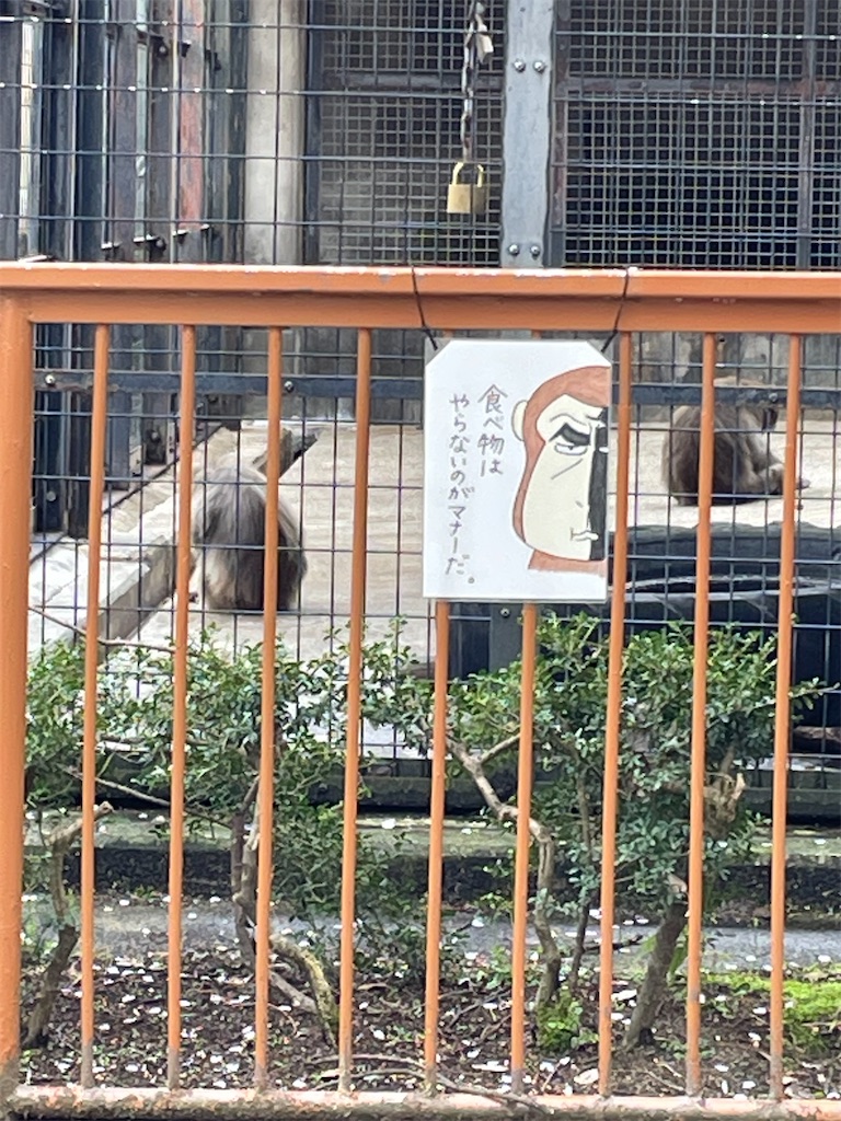 f:id:hacohaco1103:20250415181304j:image