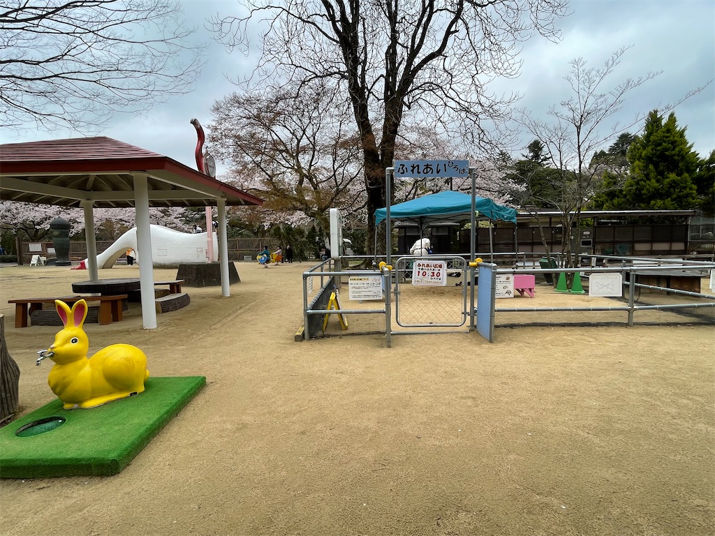 f:id:hacohaco1103:20250415181317j:image