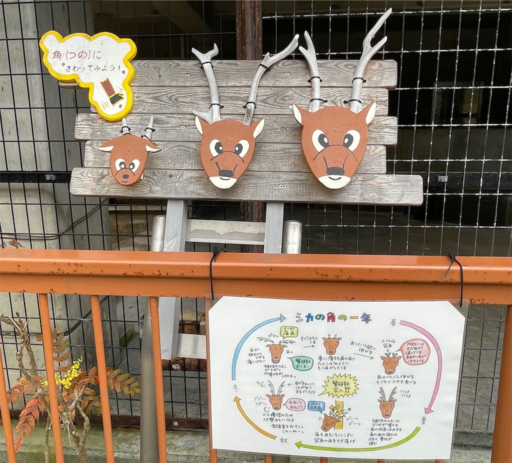 f:id:hacohaco1103:20250415181331j:image