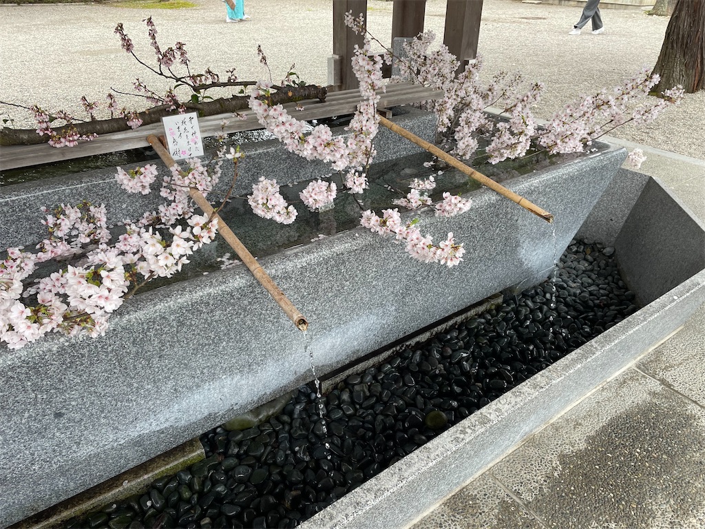 f:id:hacohaco1103:20250415181342j:image