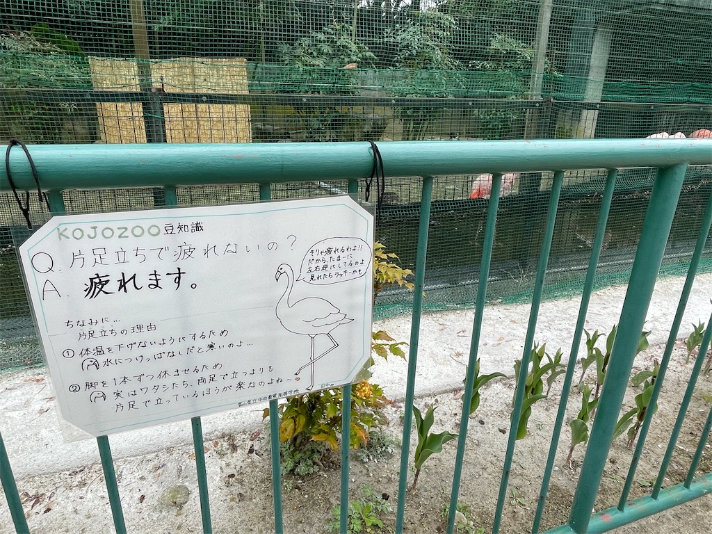f:id:hacohaco1103:20250415181356j:image