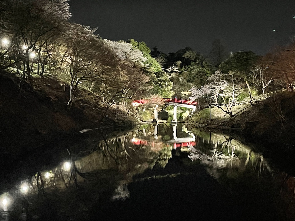 f:id:hacohaco1103:20250415181540j:image