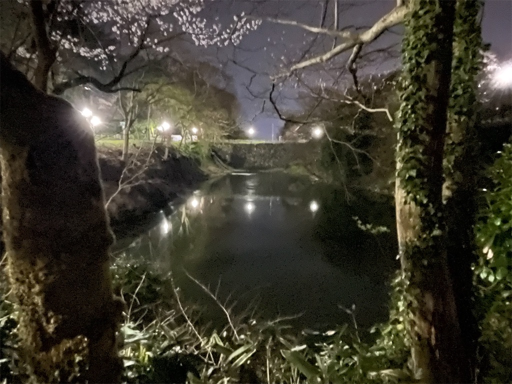 f:id:hacohaco1103:20250415181544j:image