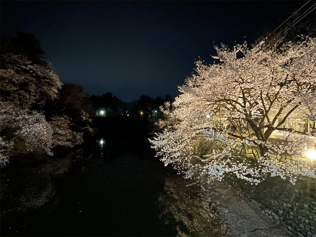 f:id:hacohaco1103:20250415181552j:image