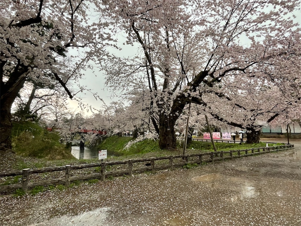 f:id:hacohaco1103:20250429185037j:image