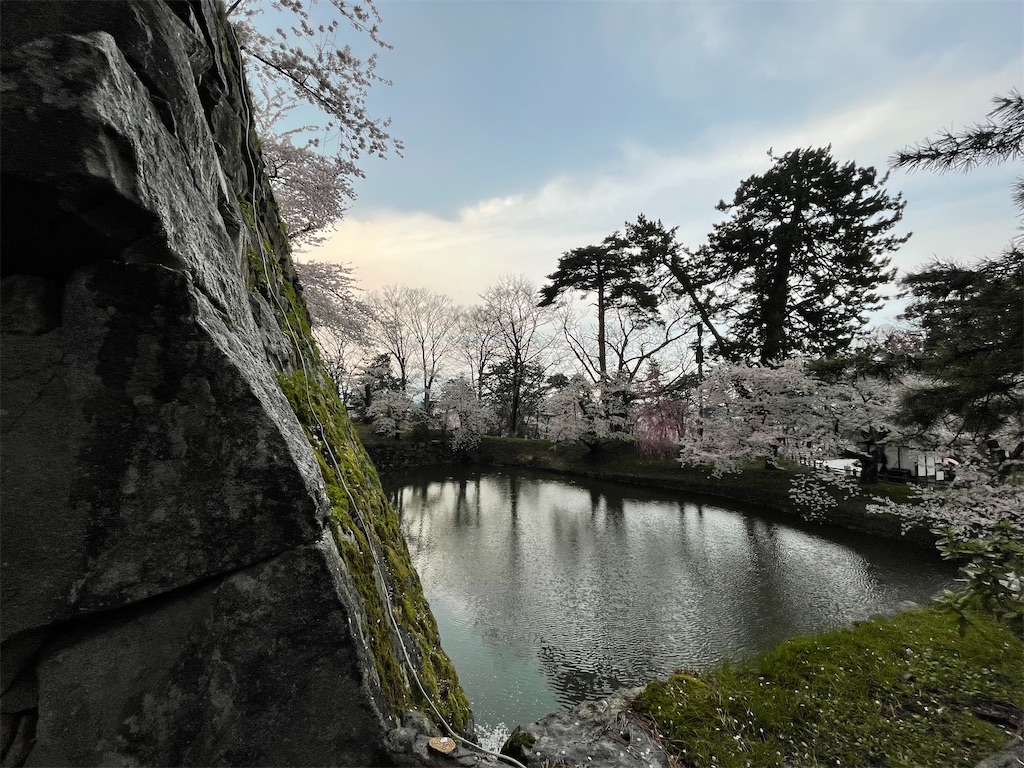 f:id:hacohaco1103:20250429185151j:image